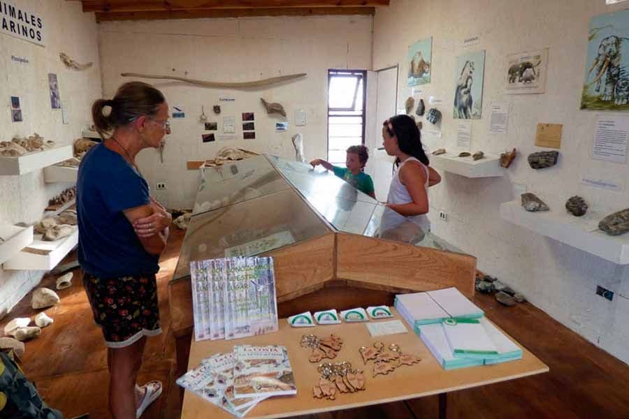 Ecopaseos a la Estación Marítima de la FEP