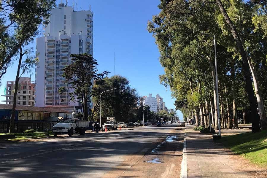 Inmobiliarios: “Fueron los mejores meses de los últimos años”