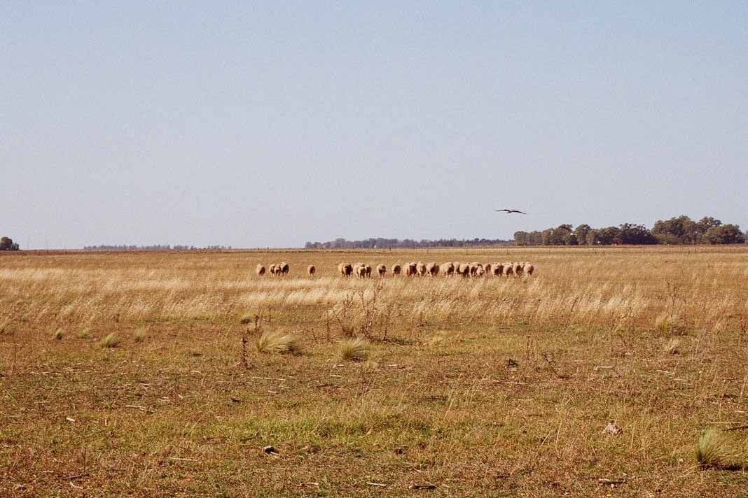 Turismo rural en Argentina (1)