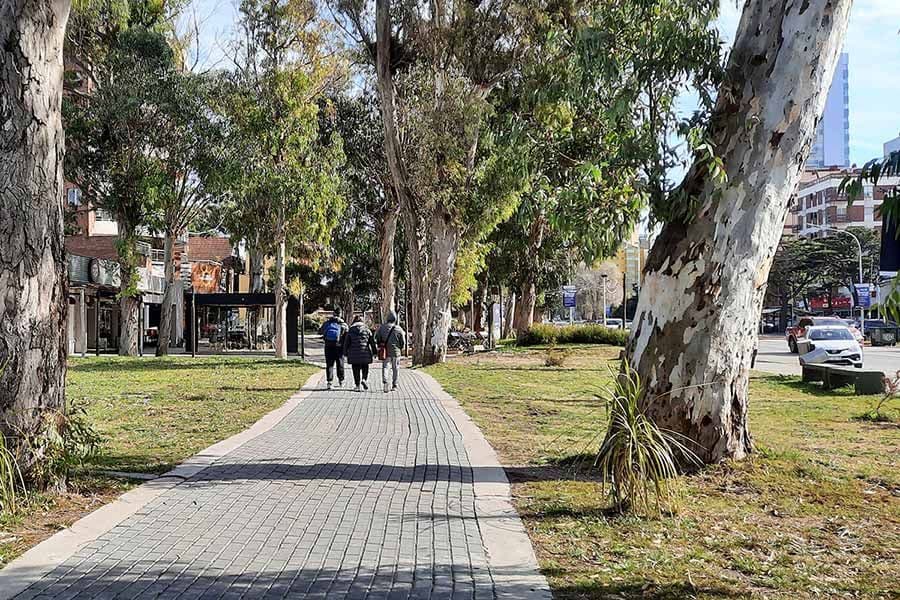 Pinamar promedió un 66% de ocupación