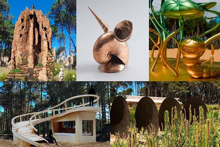 Seleccionan a los 5 proyectos finalistas del Premio Pinamar
