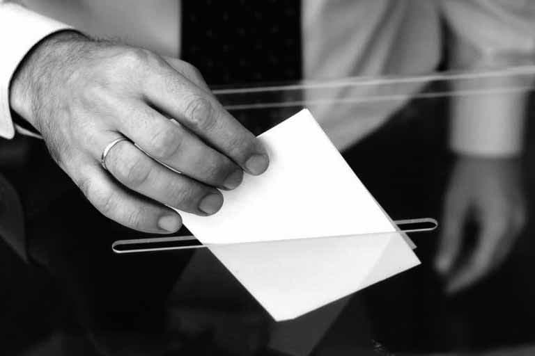 Voto sapiens