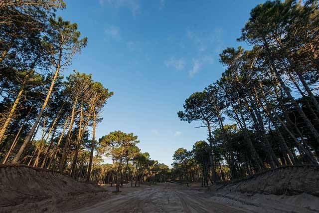 Empiezan las obras del Barrio Pioneros, el nuevo desarrollo de Pinamar SA