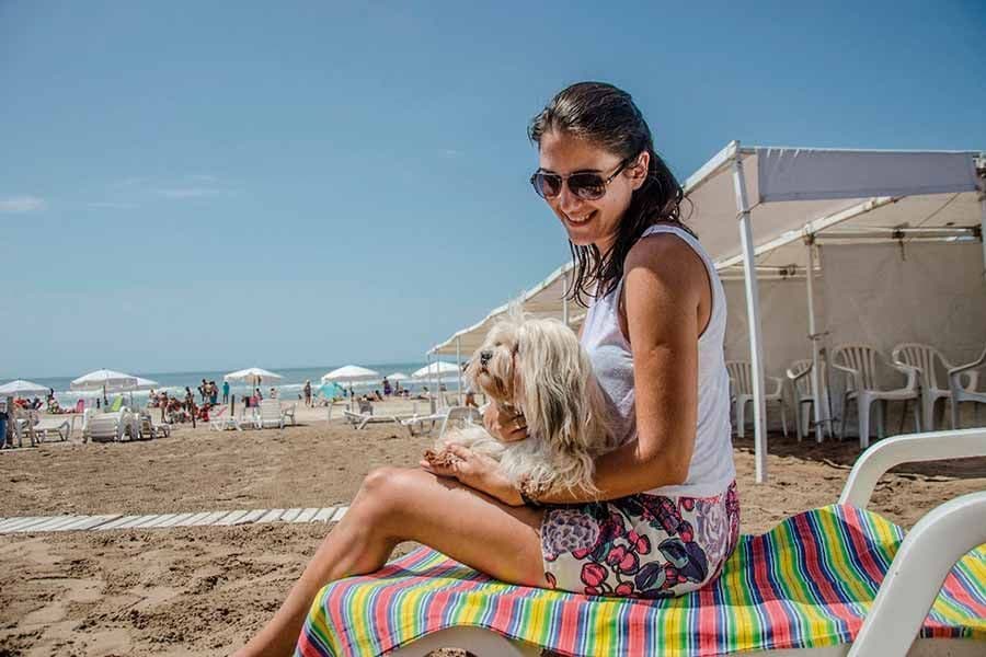 Los perros podrán ir a la playa