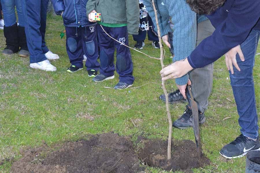 Tierra del Sur fue distinguida por Aprender