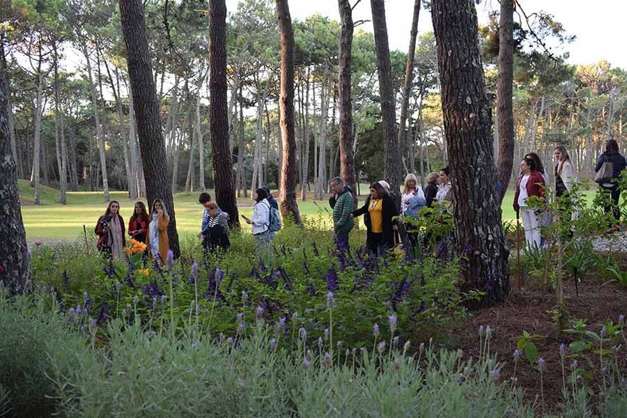 Cariló ya tiene su reservorio de colibríes