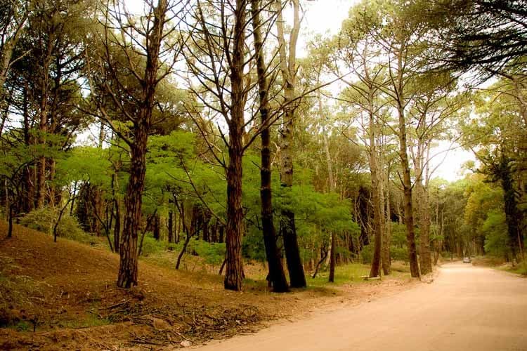 Un malentendido impedía el ingreso a Cariló desde Valeria