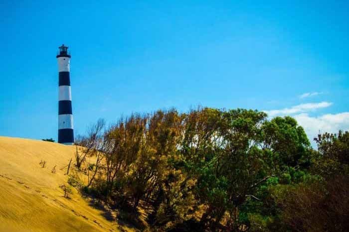 Día Mundial del Medio Ambiente: Conocer la provincia de Buenos Aires a través de sus reservas naturales