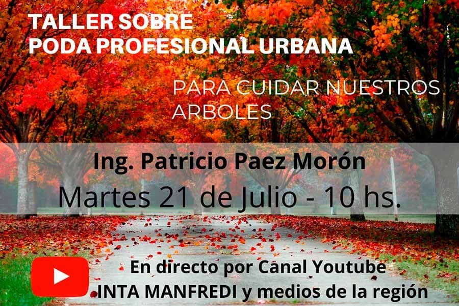 Gral. Lavalle: Mañana habrá un taller sobre Poda Profesional Urbana