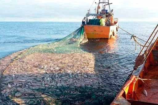 Gral. Lavalle: Aplicarán un protocolo para la temporada de la Corvina negra