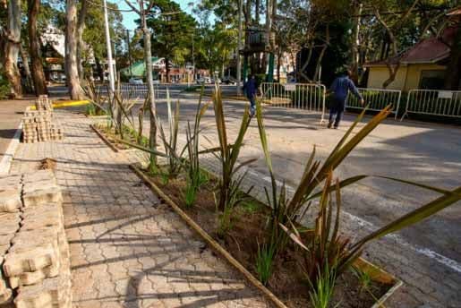 El tema bicisendas persiste en el trabajo de comisión
