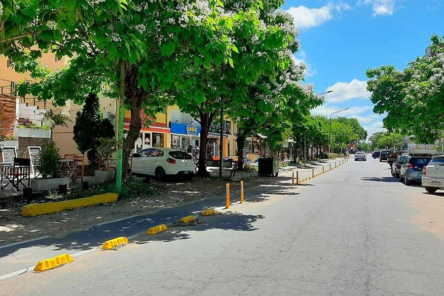 Bicisendas, ¿Modelo de ciudad?