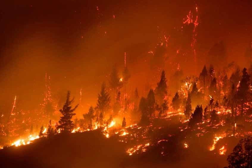 Incendios en Chubut: vivencias, pérdidas y duelos