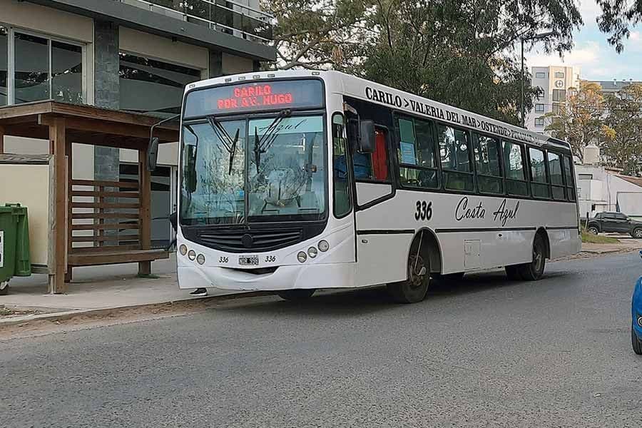 Colectivos aumentan hasta 110%