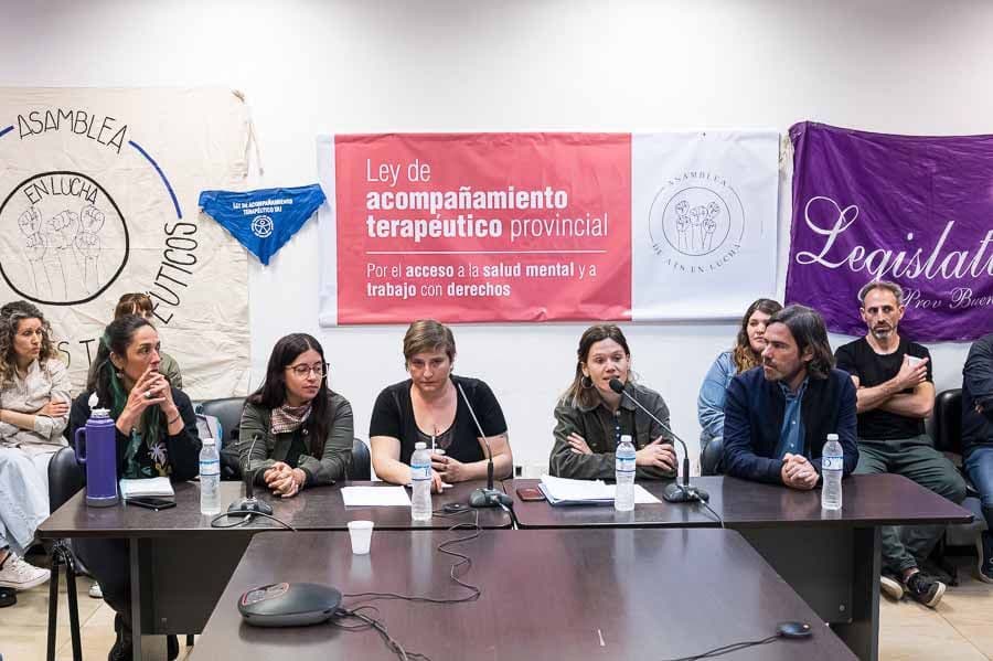 Impulsan proyecto de ley para acompañantes terapéuticos