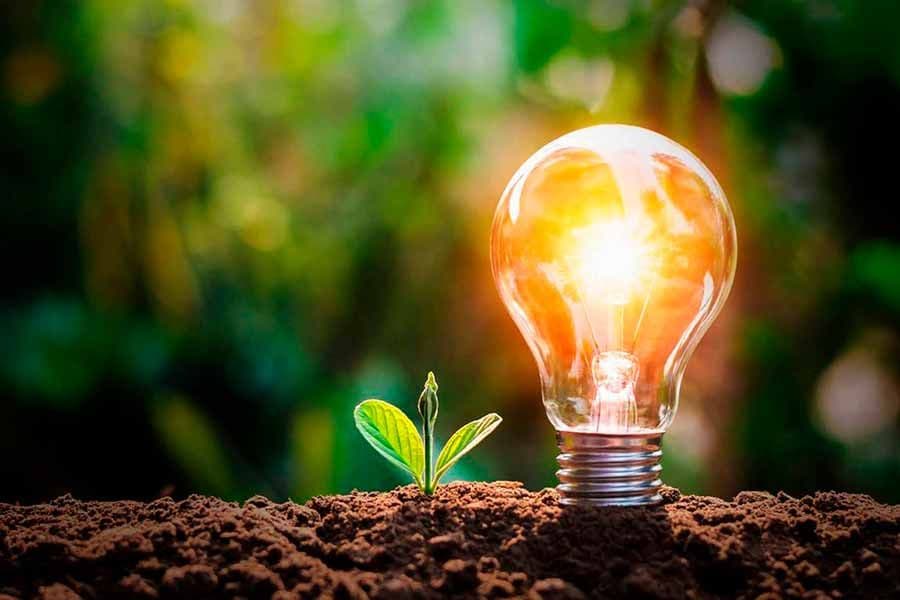 Día Internacional del Ahorro de Energía: claves para Contribuir desde Casa